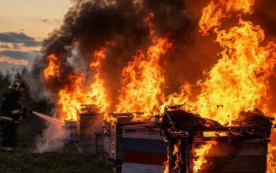 Risques d’incendie