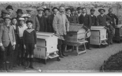 Un peu d&rsquo;histoire : un rucher école à Luynes dans les années 1900