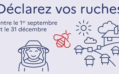 Déclaration des ruches
